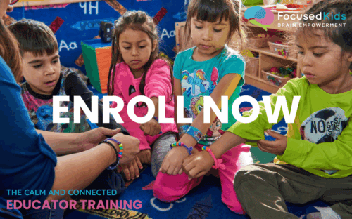 The Calm and Connected Educator Online Training